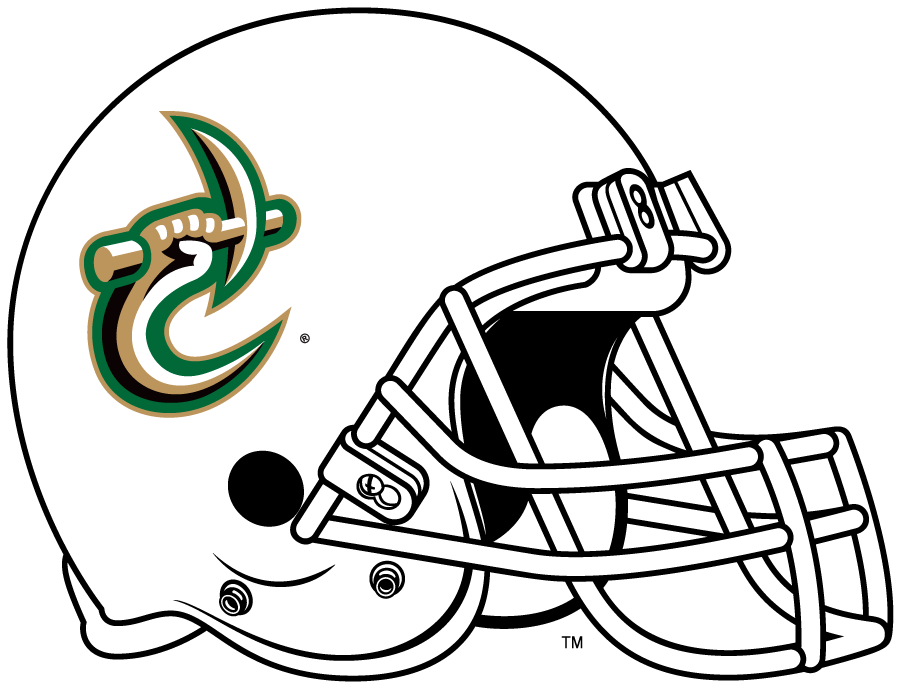 Charlotte 49ers 2018 Helmet diy iron on heat transfer